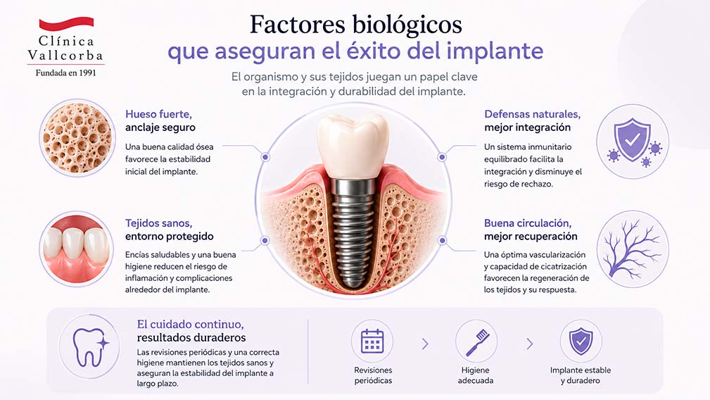 los tejidos | cuanto dura un implante dental