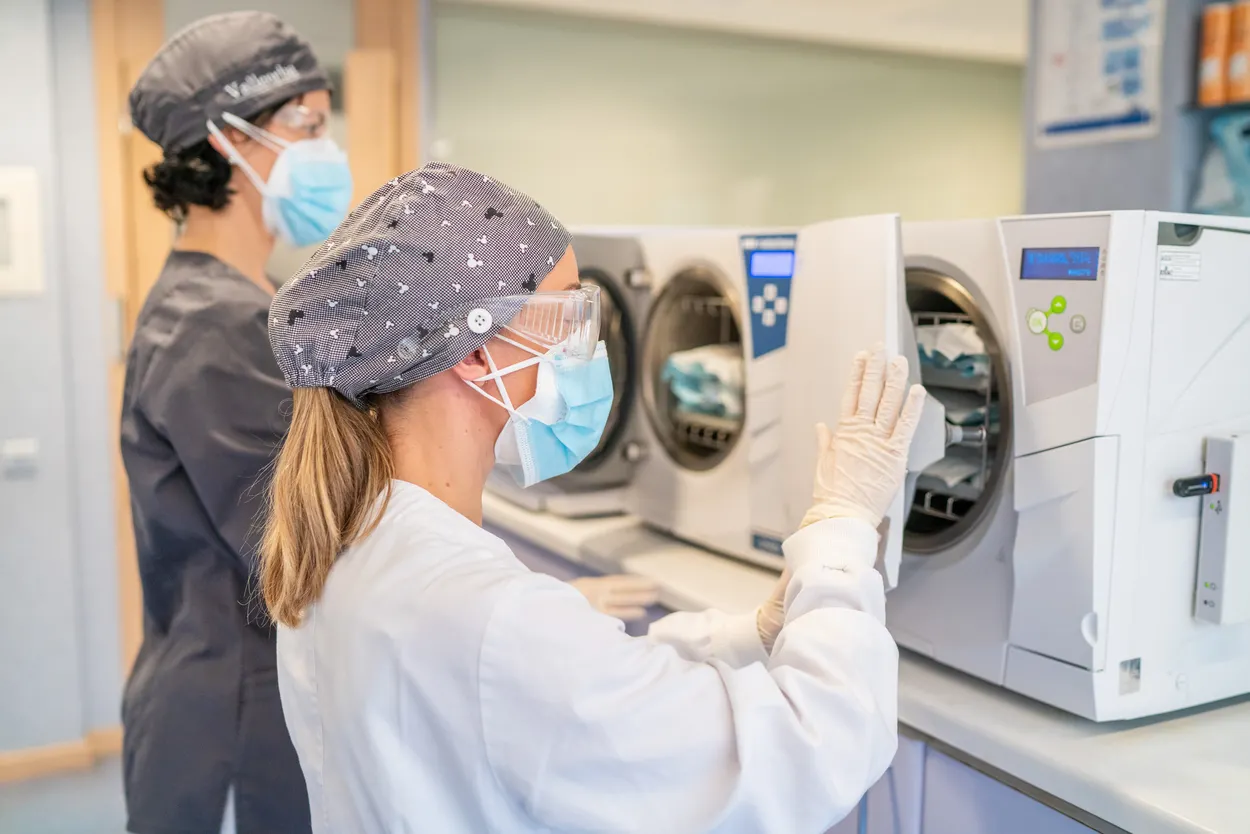 Esterilización en Clínica Vallcorba